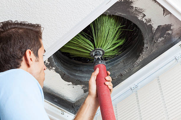 Best Local Air Duct Cleaning Services  in Chesilhurst, NJ