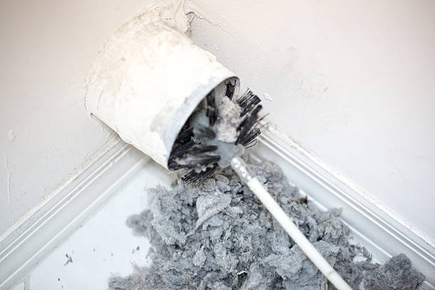 Best Affordable Duct Cleaning Services  in Chesilhurst, NJ