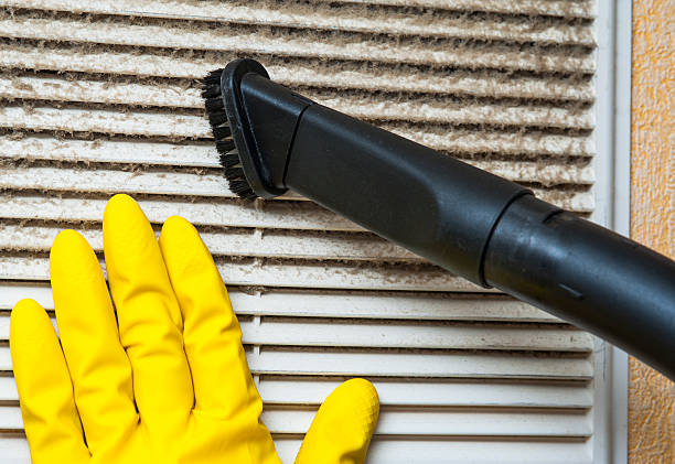 Best Affordable HVAC Duct Cleaning  in Chesilhurst, NJ
